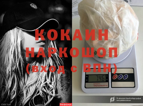 ECSTASY Новозыбков