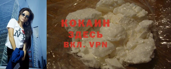ECSTASY Новозыбков