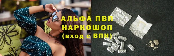 ECSTASY Новозыбков
