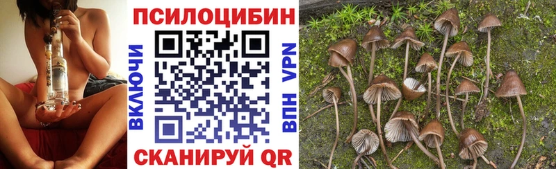 Галлюциногенные грибы Psilocybine cubensis  mega маркетплейс  Разумное 